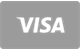 Visa card plată